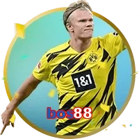 bos88
