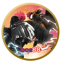 bos88