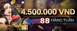 bos88