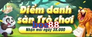 bos88