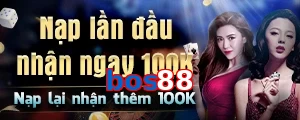 bos88