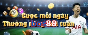 bos88